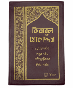 Biblia Bengalí - Traducción a la lengua común Bangla - Vinilo (Granate)