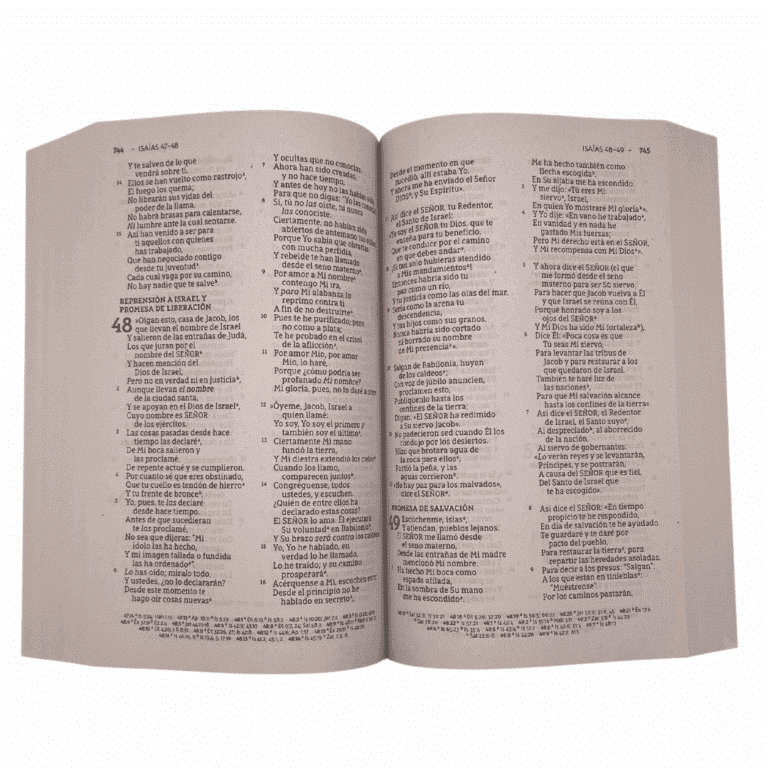 Spanish Bible - Large Print (Paperback)