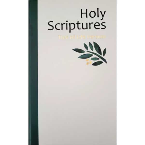 front cover of the tree of life hardcover english bible for sale