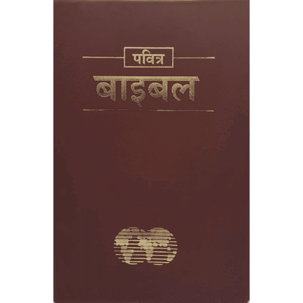 front cover of a hindi bible for sale