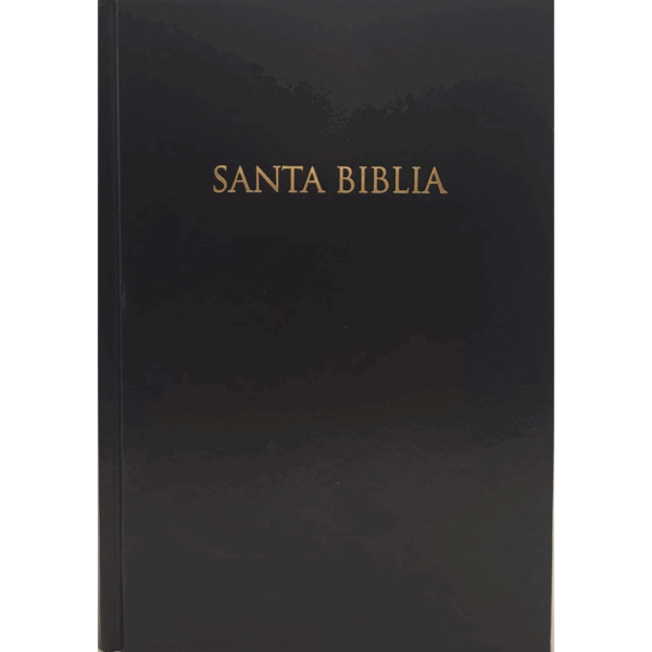 front cover of the reina valera spanish bible for sale