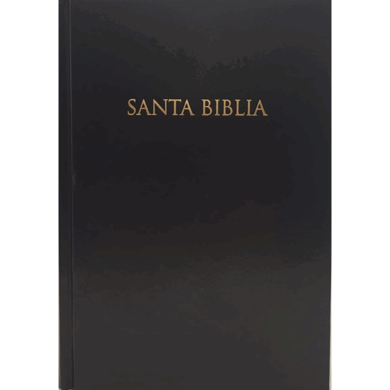 front cover of the reina valera spanish bible for sale