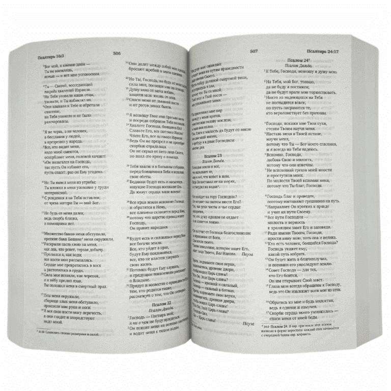 Russian Bible - Paperback (New Russian Translation)