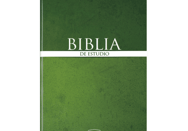 spanish rvr study bible for sale