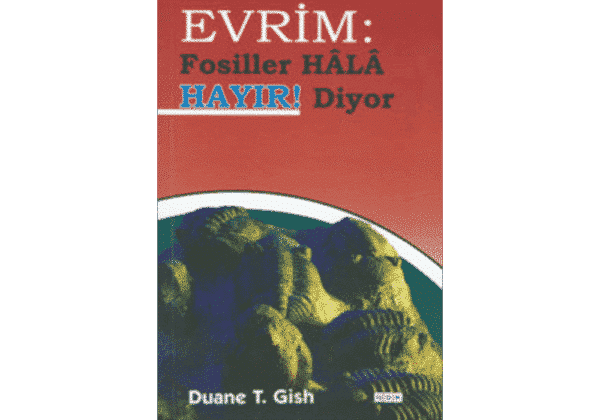 turkish evolution the fossils still says no for sale